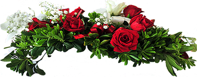 Best Memories Photography: wedding, engagement, family, event photography in Florida